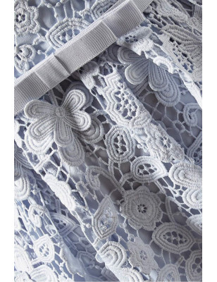 Açık Mavi Midi Boy Dantel Tasarım Elbise